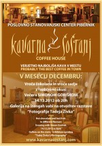 Povečaj